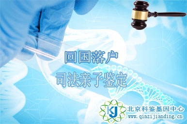 回國(guó)落戶(hù)親子鑒定