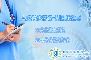 人類(lèi)遺傳標(biāo)記-基因座位點(diǎn)