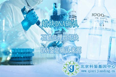 蠟塊DNA識(shí)別