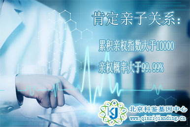 親子鑒定-肯定的結(jié)果分析