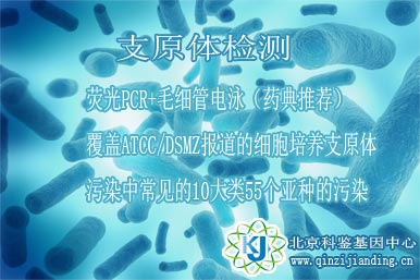支原體檢測(cè)