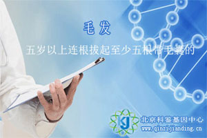 親子鑒定用毛發(fā)準(zhǔn)嗎？