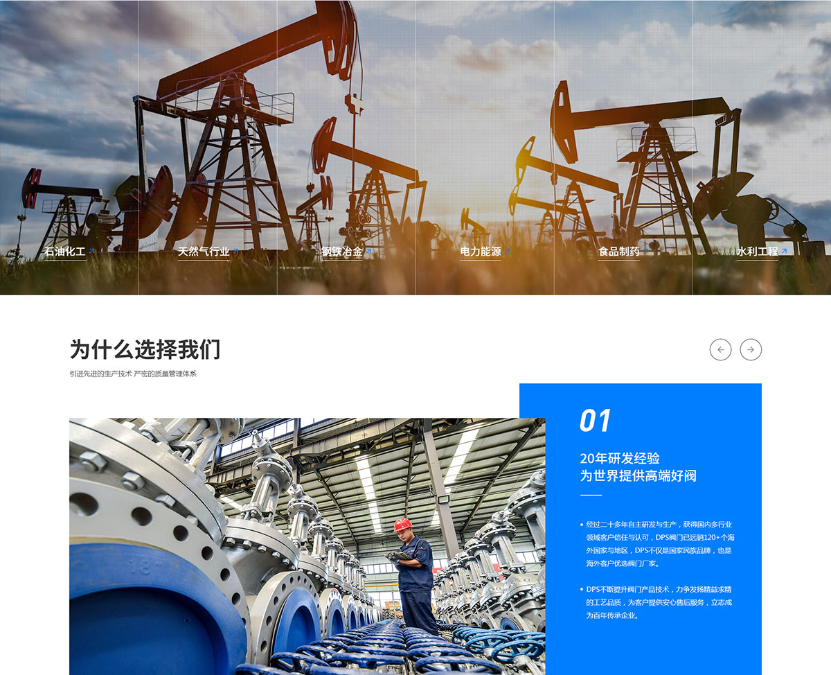 迪普斯科技網(wǎng)站建設(shè)案例