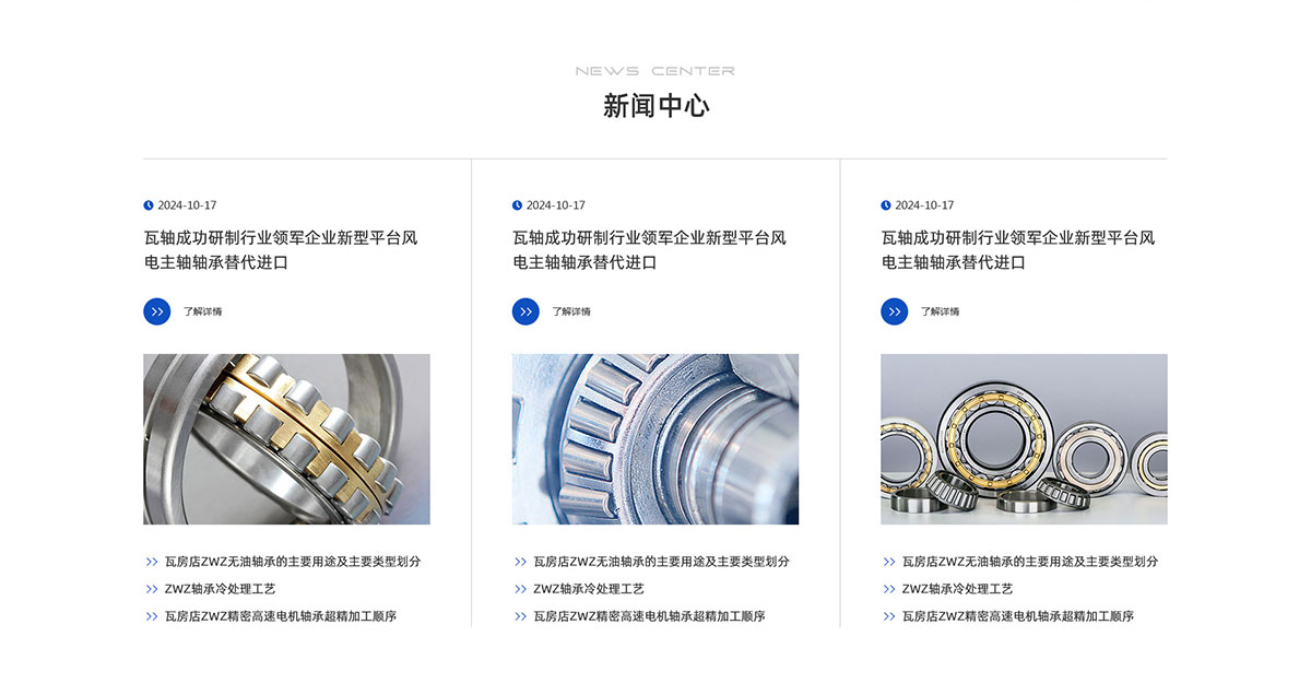 瓦軸集團(tuán)網(wǎng)站建設(shè)案例